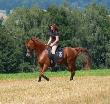 SRF Barolo